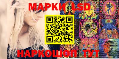стафф Кинель