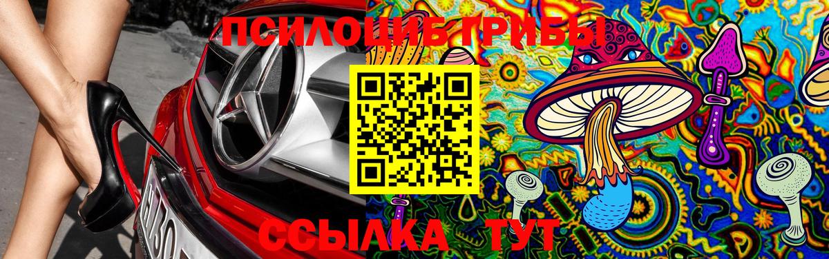 Псилоцибиновые грибы Psilocybe  Вход с VPN  Псилоцибиновые грибы MAGIC MUSHROOMS  Химки 