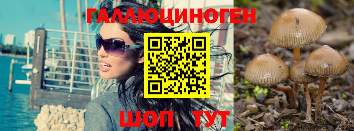 Галлюциногенные грибы GOLDEN TEACHER Химки
